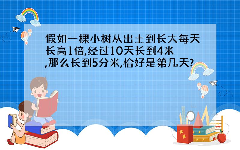 假如一棵小树从出土到长大每天长高1倍,经过10天长到4米,那么长到5分米,恰好是第几天?