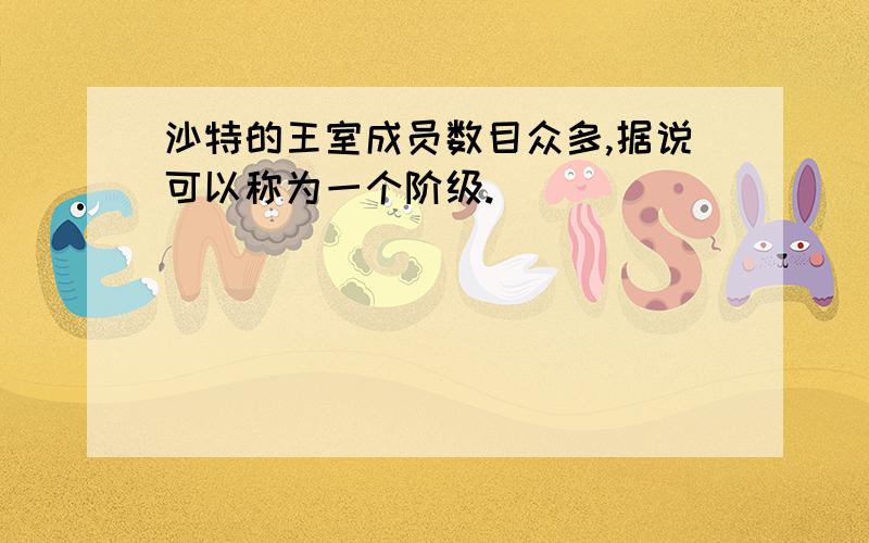 沙特的王室成员数目众多,据说可以称为一个阶级.