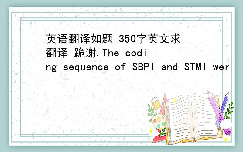 英语翻译如题 350字英文求翻译 跪谢.The coding sequence of SBP1 and STM1 wer