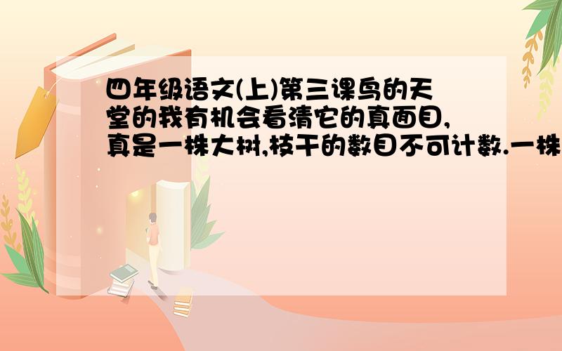 四年级语文(上)第三课鸟的天堂的我有机会看清它的真面目,真是一株大树,枝干的数目不可计数.一株和不可计