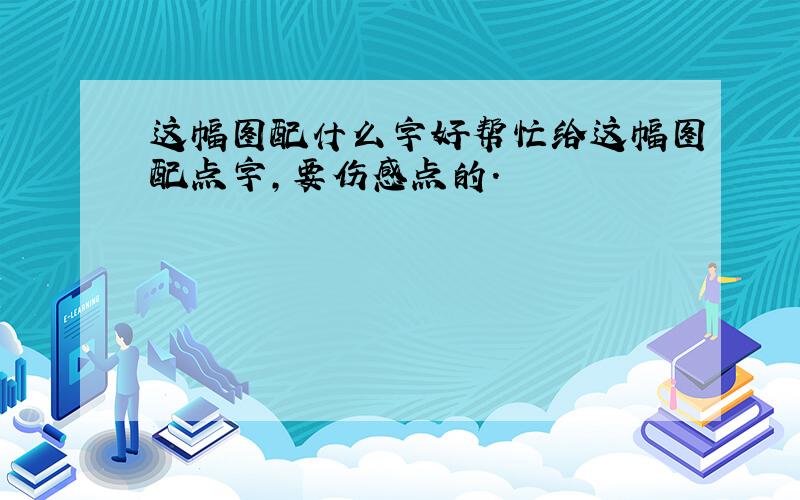 这幅图配什么字好帮忙给这幅图配点字,要伤感点的.