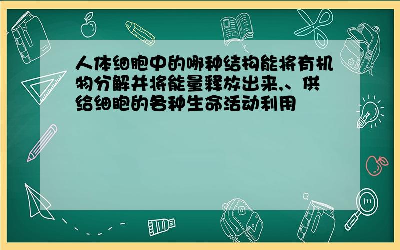 人体细胞中的哪种结构能将有机物分解并将能量释放出来,、供给细胞的各种生命活动利用