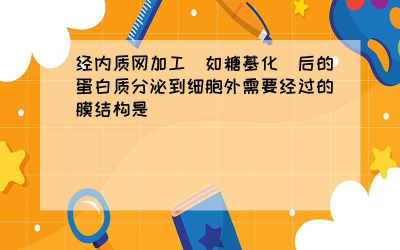 经内质网加工（如糖基化）后的蛋白质分泌到细胞外需要经过的膜结构是（　　）