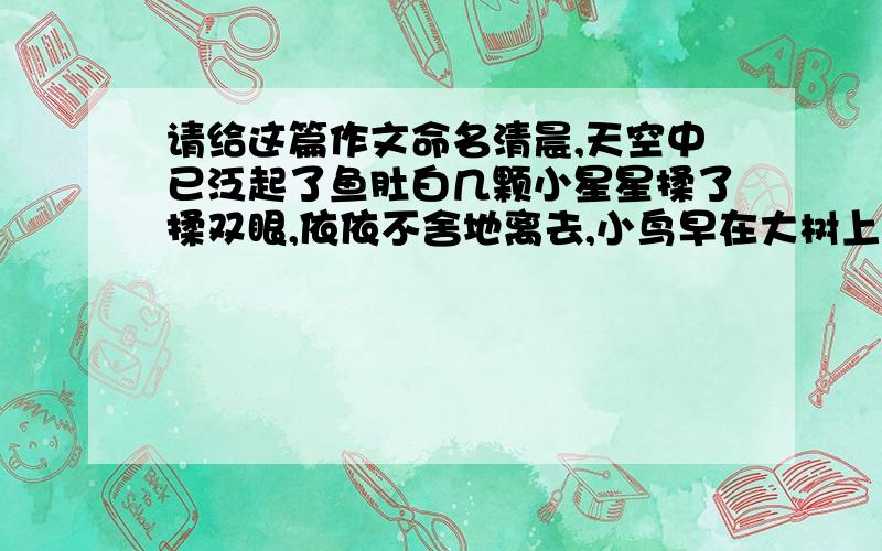 请给这篇作文命名清晨,天空中已泛起了鱼肚白几颗小星星揉了揉双眼,依依不舍地离去,小鸟早在大树上摆开了擂台赛,花儿们也争芳