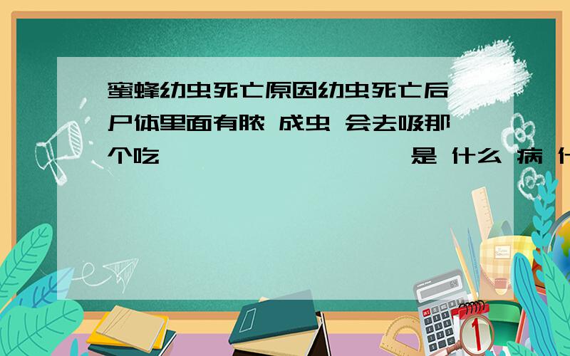 蜜蜂幼虫死亡原因幼虫死亡后 尸体里面有脓 成虫 会去吸那个吃````````` 是 什么 病 什么药能有效治疗