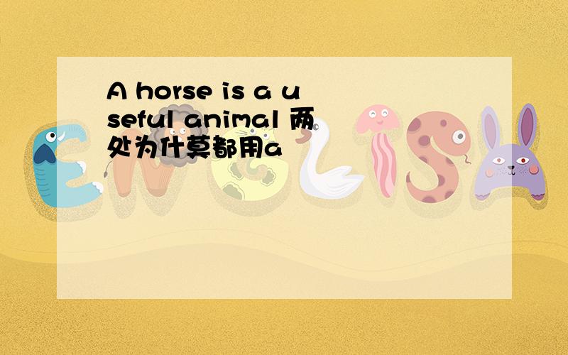 A horse is a useful animal 两处为什莫都用a