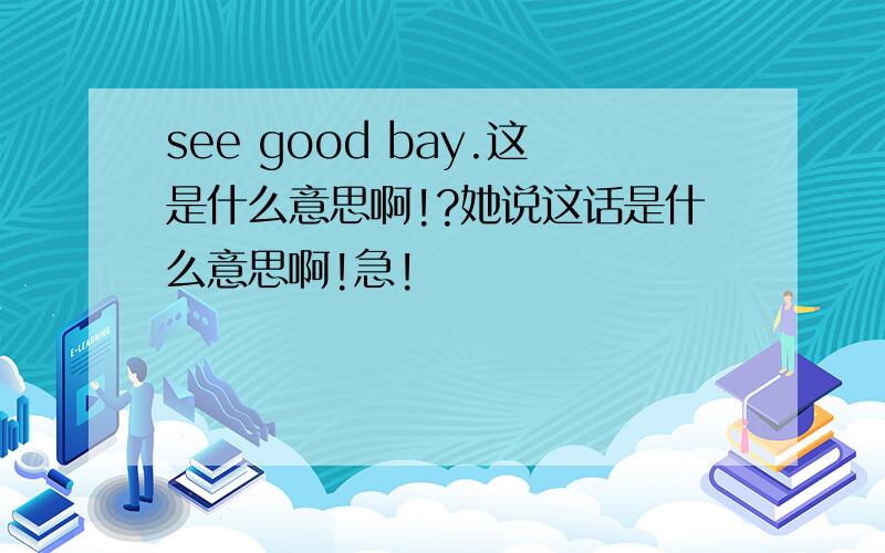 see good bay.这是什么意思啊!?她说这话是什么意思啊!急!