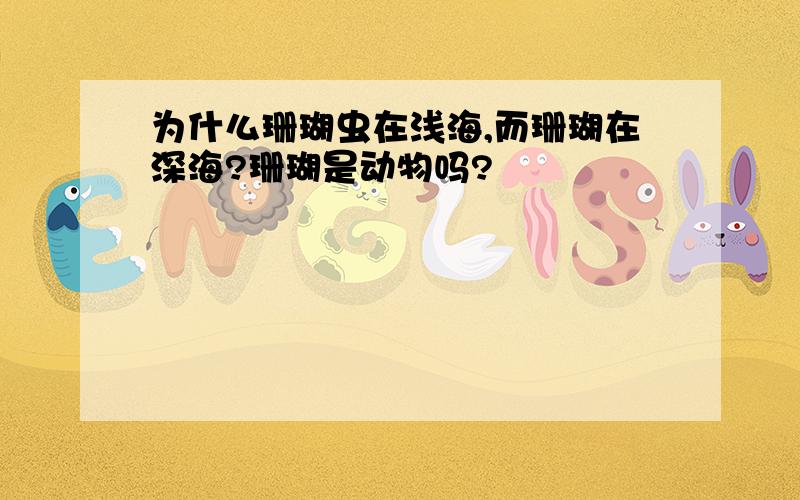 为什么珊瑚虫在浅海,而珊瑚在深海?珊瑚是动物吗?