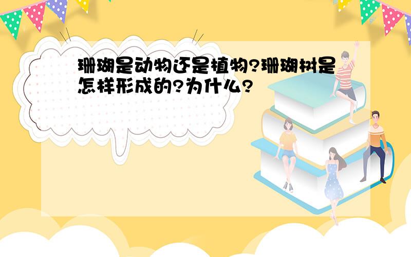 珊瑚是动物还是植物?珊瑚树是怎样形成的?为什么?