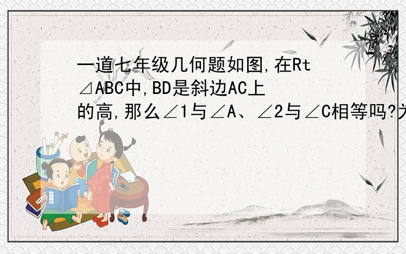 一道七年级几何题如图,在Rt⊿ABC中,BD是斜边AC上的高,那么∠1与∠A、∠2与∠C相等吗?为什么?