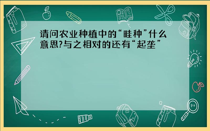 请问农业种植中的“畦种”什么意思?与之相对的还有“起垄”