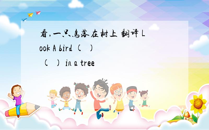 看,一只鸟落在树上 翻译 Look A bird ( ) ( ) in a tree