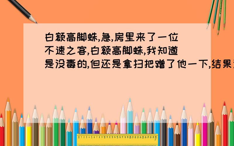 白额高脚蛛,急,房里来了一位不速之客,白额高脚蛛,我知道是没毒的,但还是拿扫把蹭了他一下,结果没弄死,晚上会不会来攻击我