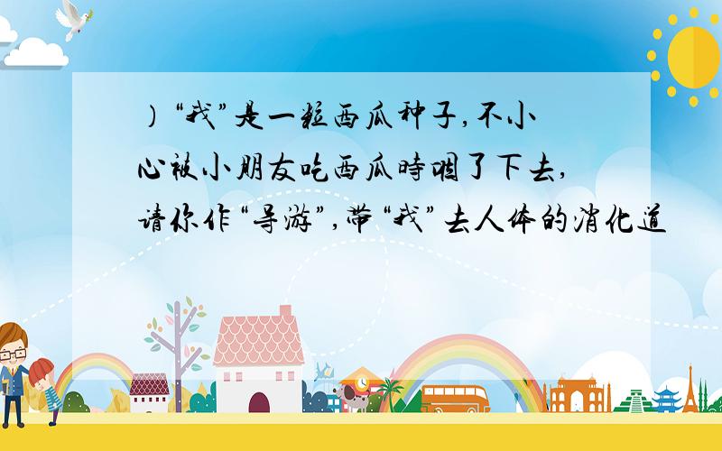 ）“我”是一粒西瓜种子,不小心被小朋友吃西瓜时咽了下去,请你作“导游”,带“我”去人体的消化道