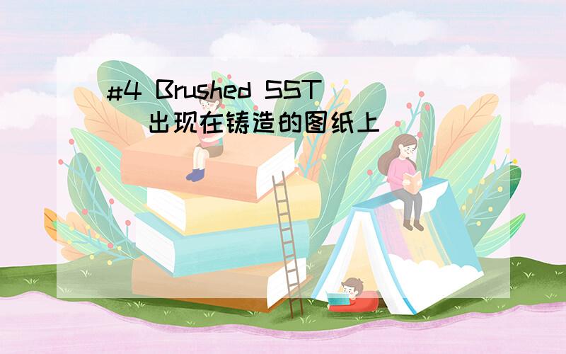 #4 Brushed SST （出现在铸造的图纸上）