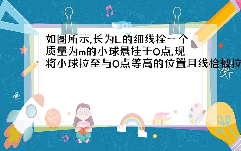 如图所示,长为L的细线拴一个质量为m的小球悬挂于O点,现将小球拉至与O点等高的位置且线恰被拉直.求放手后小球摆到O点正下