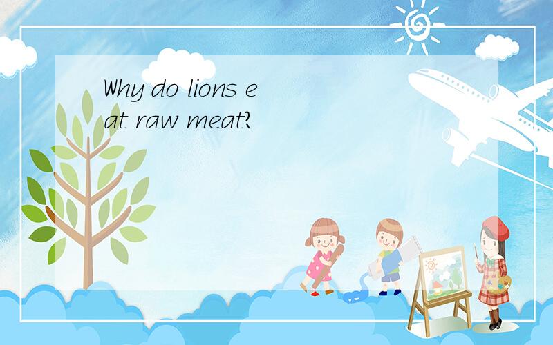 Why do lions eat raw meat?