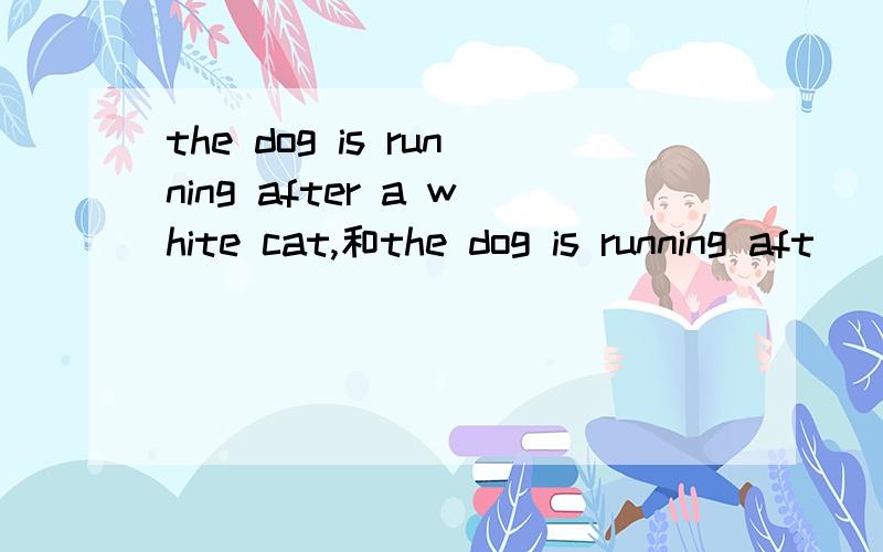 the dog is running after a white cat,和the dog is running aft