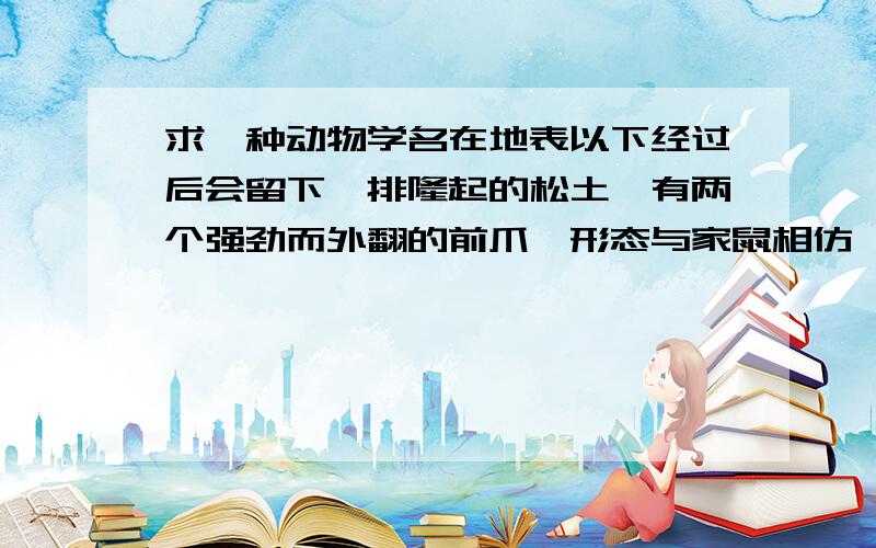 求一种动物学名在地表以下经过后会留下一排隆起的松土,有两个强劲而外翻的前爪,形态与家鼠相仿,但好像更扁一些