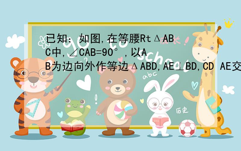 已知；如图,在等腰RtΔABC中,∠CAB=90°,以AB为边向外作等边ΔABD,AE⊥BD,CD AE交于点M