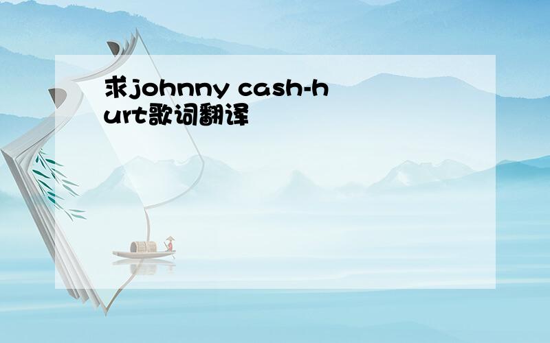 求johnny cash-hurt歌词翻译