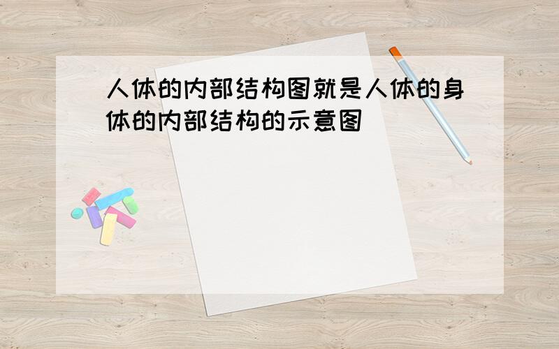 人体的内部结构图就是人体的身体的内部结构的示意图