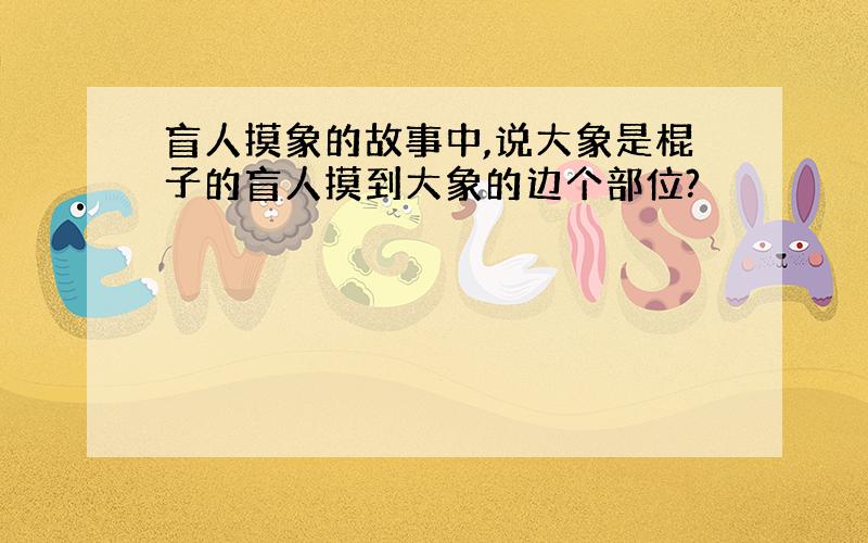 盲人摸象的故事中,说大象是棍子的盲人摸到大象的边个部位?