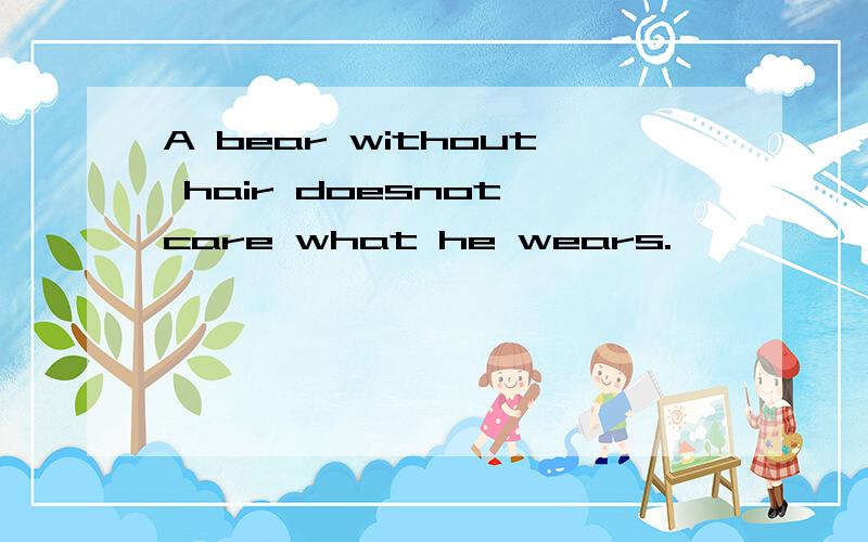 A bear without hair doesnot care what he wears.