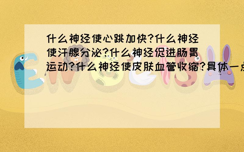 什么神经使心跳加快?什么神经使汗腺分泌?什么神经促进肠胃运动?什么神经使皮肤血管收缩?具体一点，是不是由脑神经控制？哪对