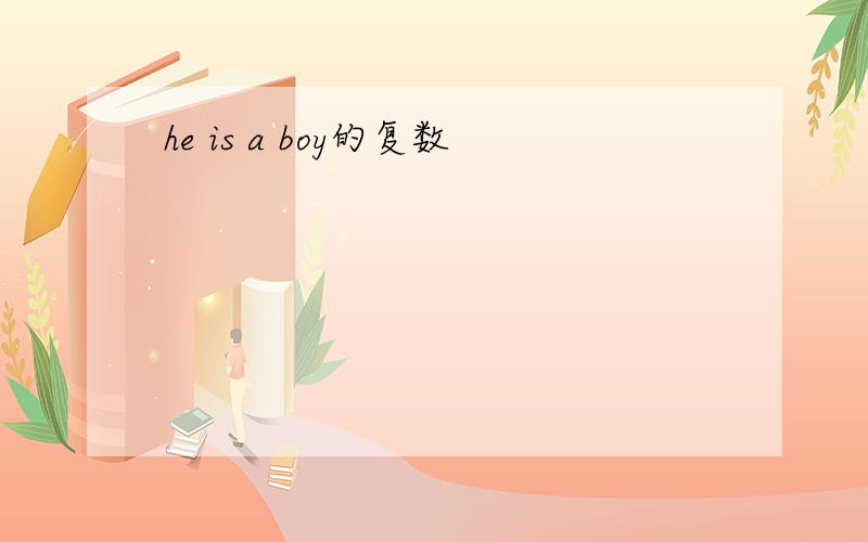 he is a boy的复数