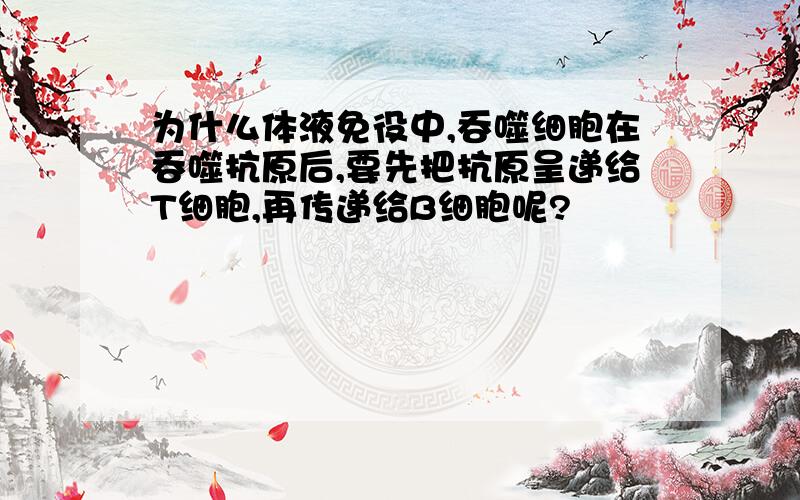 为什么体液免役中,吞噬细胞在吞噬抗原后,要先把抗原呈递给T细胞,再传递给B细胞呢?