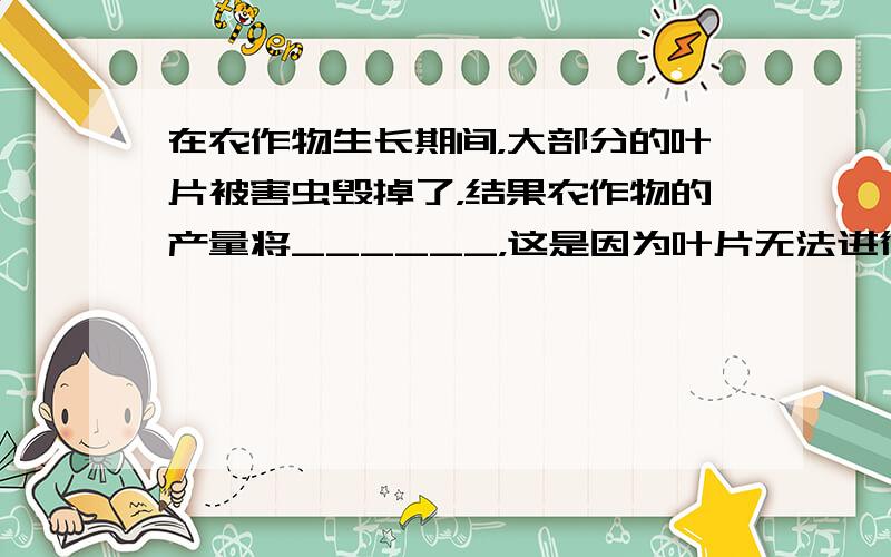 在农作物生长期间，大部分的叶片被害虫毁掉了，结果农作物的产量将______，这是因为叶片无法进行______．