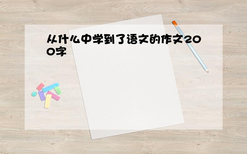 从什么中学到了语文的作文200字