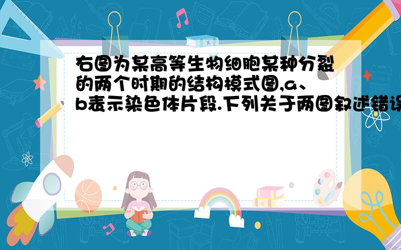 右图为某高等生物细胞某种分裂的两个时期的结构模式图,a、b表示染色体片段.下列关于两图叙述错误的是   &nb