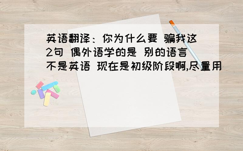 英语翻译：你为什么要 骗我这2句 偶外语学的是 别的语言不是英语 现在是初级阶段啊,尽量用