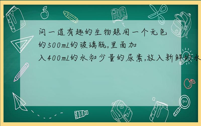 问一道有趣的生物题用一个无色的500mL的玻璃瓶,里面加入400mL的水和少量的尿素,放入新鲜的水草、2至3条小鱼和几个