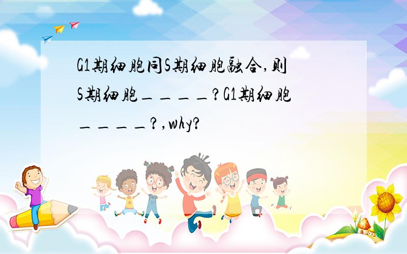 G1期细胞同S期细胞融合,则S期细胞____?G1期细胞____?,why?