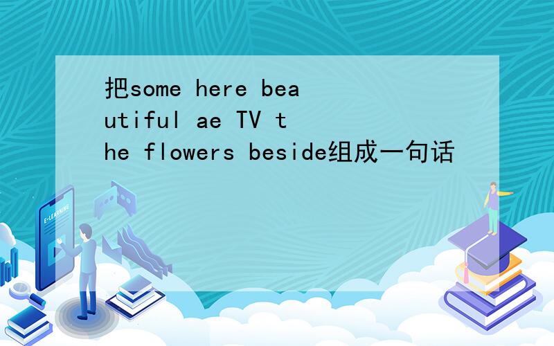 把some here beautiful ae TV the flowers beside组成一句话