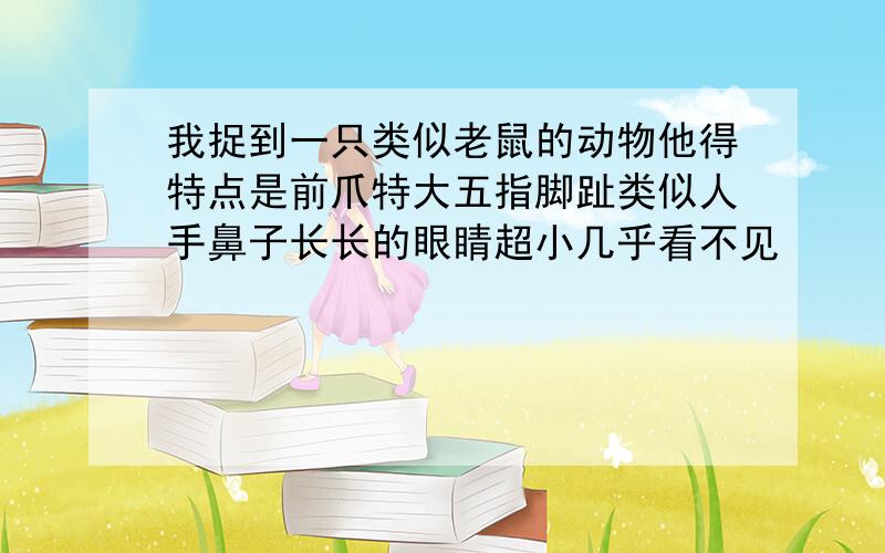 我捉到一只类似老鼠的动物他得特点是前爪特大五指脚趾类似人手鼻子长长的眼睛超小几乎看不见