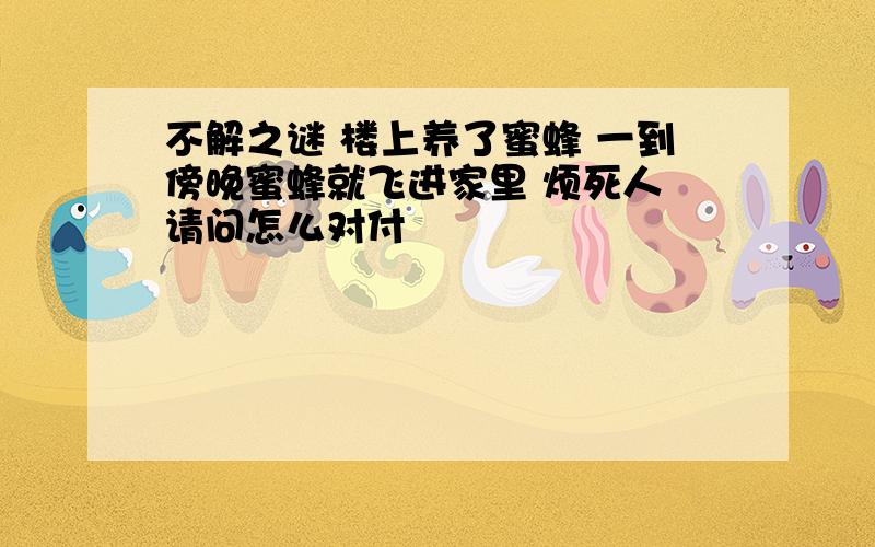 不解之谜 楼上养了蜜蜂 一到傍晚蜜蜂就飞进家里 烦死人 请问怎么对付