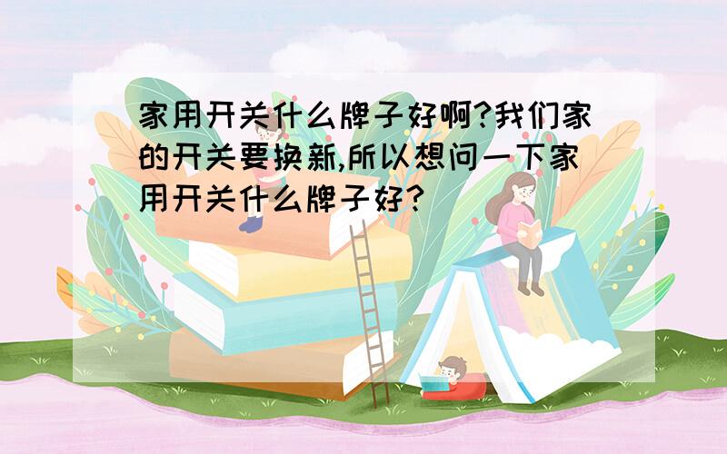 家用开关什么牌子好啊?我们家的开关要换新,所以想问一下家用开关什么牌子好?