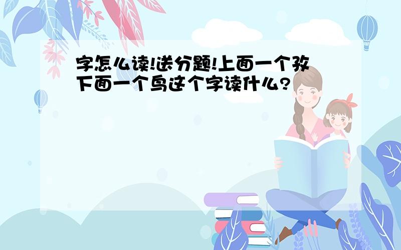 字怎么读!送分题!上面一个孜下面一个鸟这个字读什么?