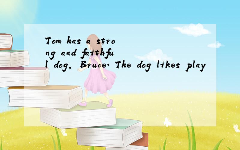 Tom has a strong and faithful dog, Bruce. The dog likes play