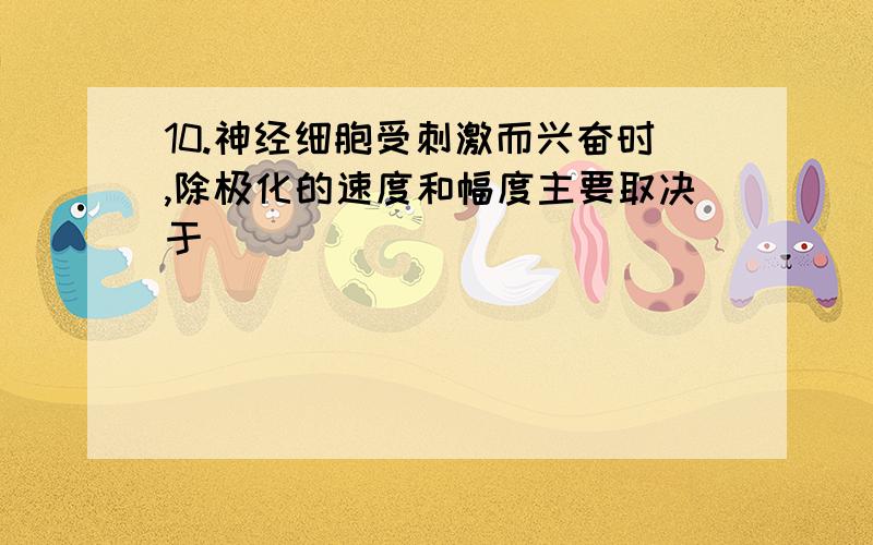 10.神经细胞受刺激而兴奋时,除极化的速度和幅度主要取决于