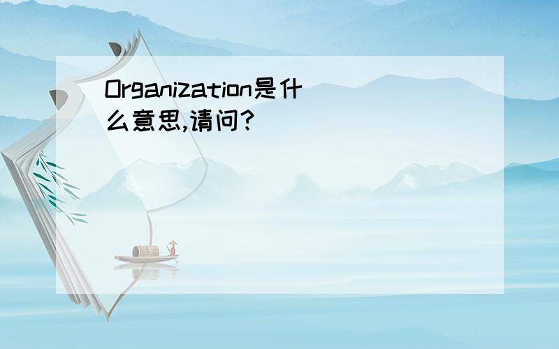 Organization是什么意思,请问?