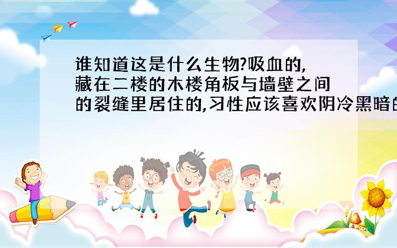 谁知道这是什么生物?吸血的,藏在二楼的木楼角板与墙壁之间的裂缝里居住的,习性应该喜欢阴冷黑暗的地方,我看到它们见光就躲避