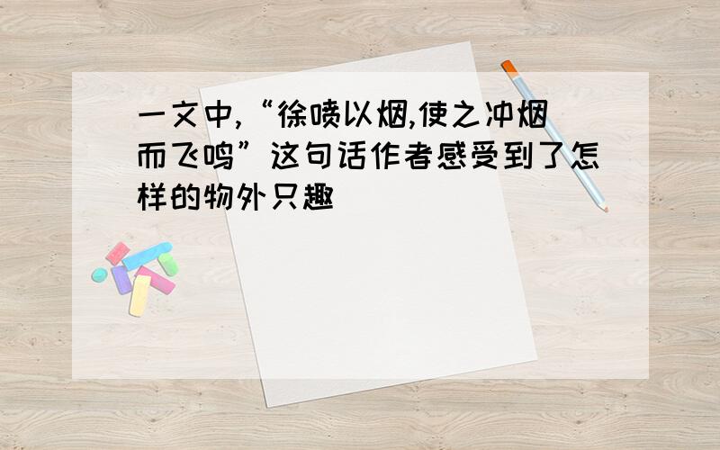 一文中,“徐喷以烟,使之冲烟而飞鸣”这句话作者感受到了怎样的物外只趣