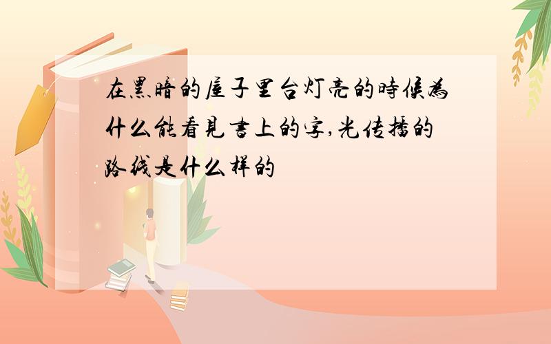 在黑暗的屋子里台灯亮的时候为什么能看见书上的字,光传播的路线是什么样的