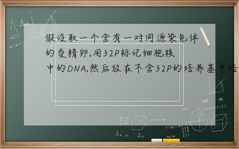 假设取一个含有一对同源染色体的受精卵,用32P标记细胞核中的DNA,然后放在不含32P的培养基中培养,让其连进行两次有丝