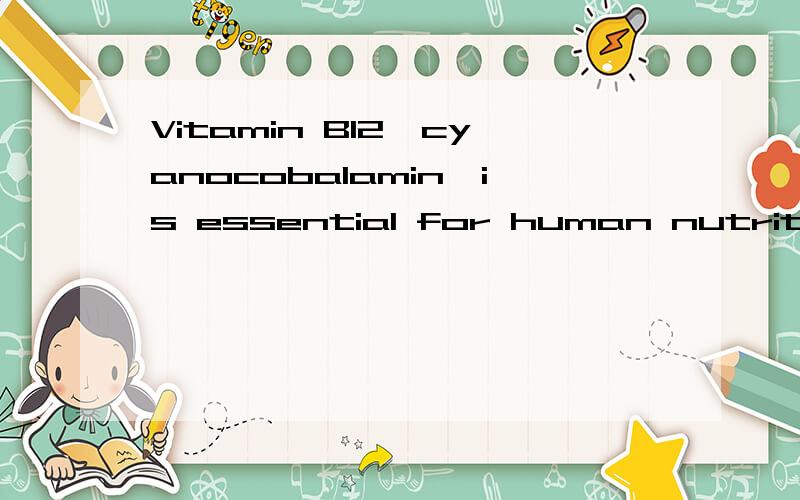 Vitamin B12,cyanocobalamin,is essential for human nutrition.